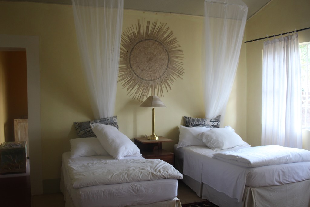  sunflower  room